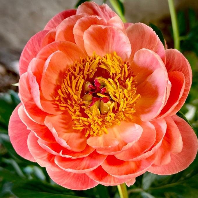 (ǰ)۾ ڶ10