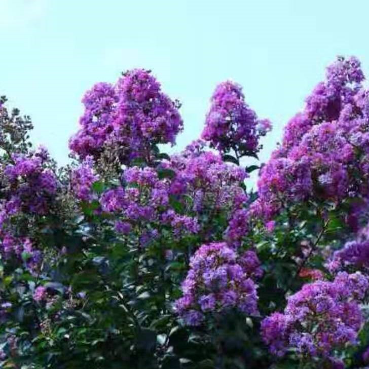 ճ(ȫ) ڱݷ 